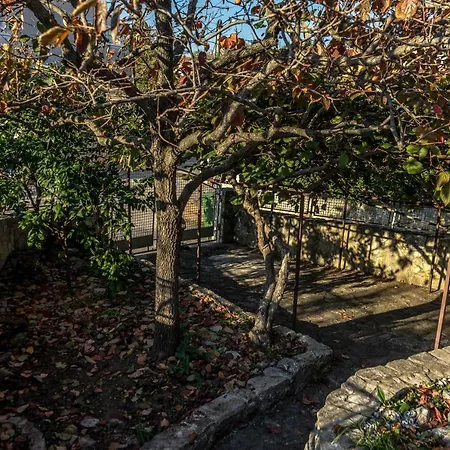 Old Istrian Stone House Vinkuran